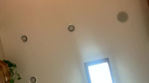 16510 online show from March 15, 11:24 am