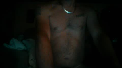 247365onit online show from August 2, 2:57 am