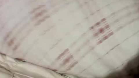 25low3b8k online show from December 29, 4:48 am