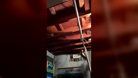 33adidas online show from April 13, 8:07 am