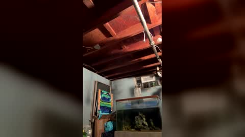 33adidas online show from March 27, 8:26 am