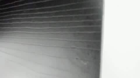 3X NAXAA online show from September 10, 12:17 pm