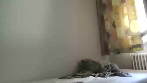 Larese Carlo online show from June 26, 1:16 pm