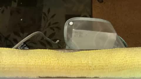 FUCKR online show from October 24, 10:05 am