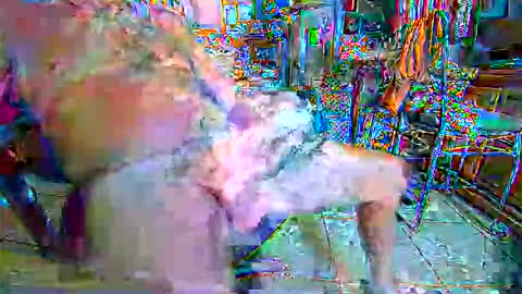 86406stud online show from April 4, 9:22 pm