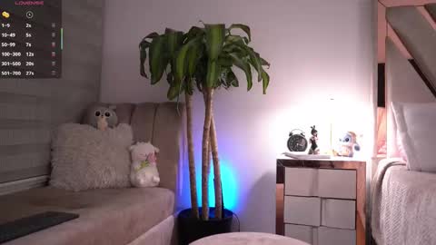 Andy online show from February 6, 12:14 am