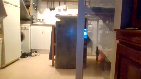_bubble_buttfunxxx online show from July 11, 8:56 pm