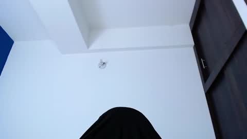 Snapshot of _davidwolf chatting on January 24, 1:56 am David online show from January 24, 1:56 am