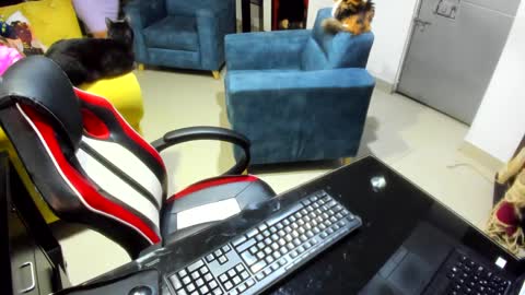 Snapshot of _emma_loyd_ chatting on February 7, 12:53 am Emma online show from February 7, 12:53 am