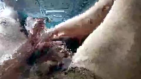 aaronvita online show from April 11, 1:37 pm