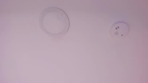 A B B Y online show from February 7, 11:57 am