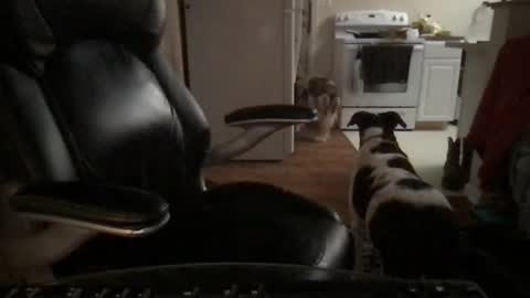 abe_froman2007 online show from December 19, 4:08 am