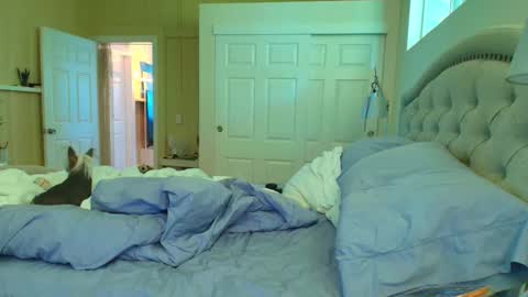 Ada Lovelace online show from February 3, 12:40 am