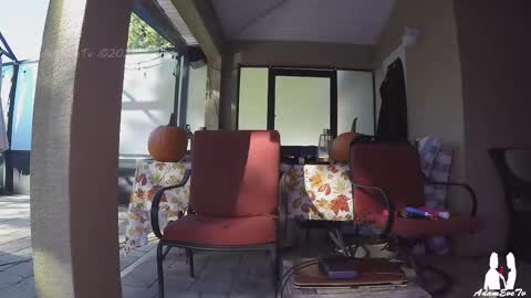 Snapshot of adamevetv chatting on November 1, 8:30 pm Adam And Eve online show from November 1, 8:30 pm