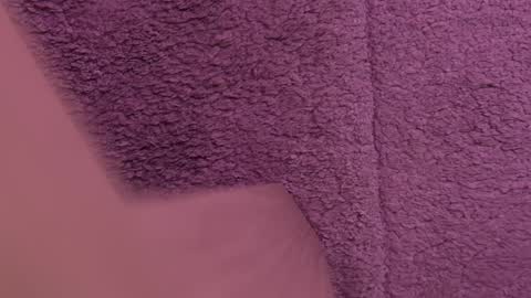 AdamLewiss online show from April 8, 12:08 pm