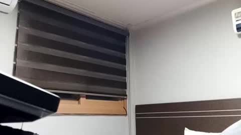 Brad online show from November 28, 6:15 pm