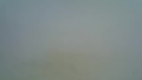 afronubians online show from March 5, 9:16 am