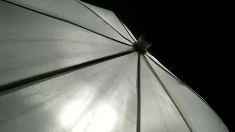 CAROLINA online show from April 12, 4:33 pm