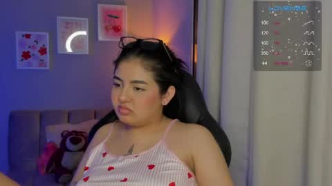Cat online show from May 14, 5:16 am
