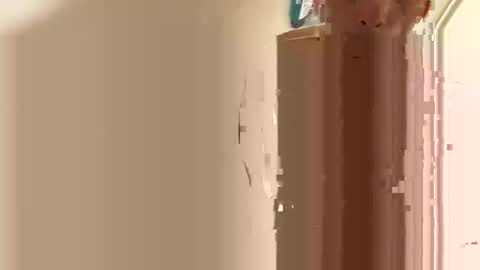 alaskanhorse online show from March 20, 10:48 pm