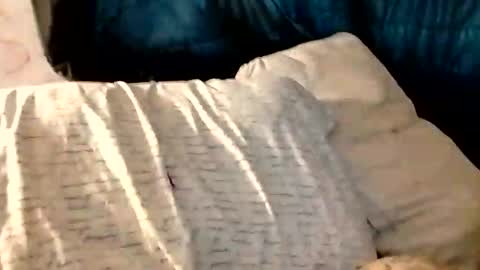 alecmorgan1234 online show from October 28, 6:31 pm