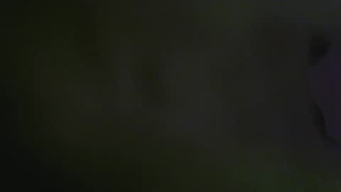 Aleks online show from December 3, 6:32 am