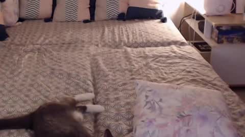 Sandra online show from February 28, 2:20 pm