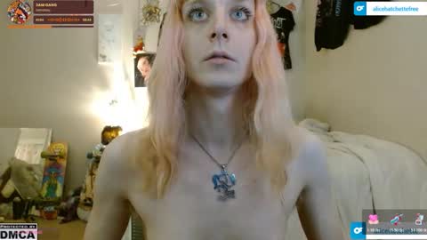 Alice Hatchette online show from November 12, 12:35 am