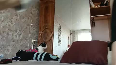 bigclit daddy squirt bigdildo fit online show from February 24, 11:21 am