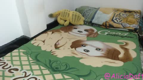 Alicia Aldara online show from April 9, 5:55 am