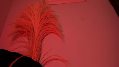 ALICE  online show from October 25, 3:07 am