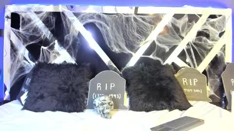 Ali Diaz online show from October 27, 7:25 pm