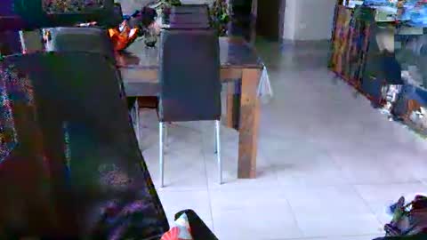 allan57000 online show from January 12, 10:00 am