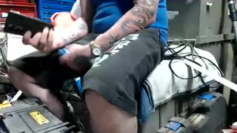 allwolf0323 online show from March 30, 5:40 am