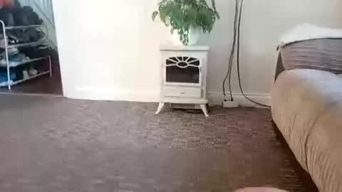 Couplefilth online show from July 11, 3:59 pm