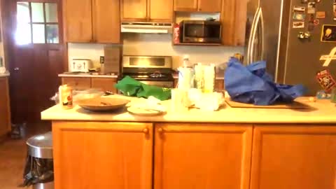 Alvie online show from January 26, 3:03 pm