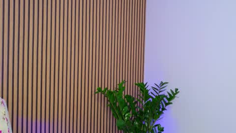 AmmyDanger online show from January 11, 4:29 am