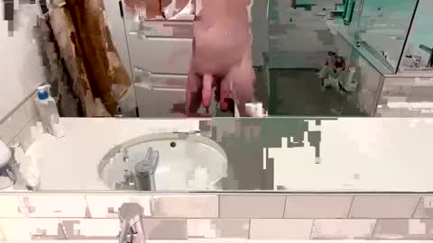 an851986 online show from January 17, 1:15 am