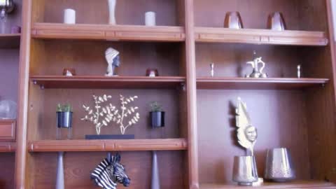 Ana online show from April 25, 1:13 pm