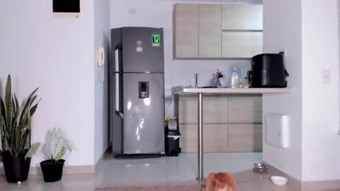 Ana Henao or Annie... Follow me ahenaocb Insta  X online show from December 5, 1:49 am