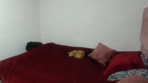 ANA online show from October 31, 11:05 pm