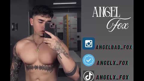 Angel Fox online show from November 26, 3:37 am