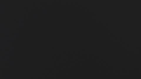 ANN online show from February 4, 7:29 pm