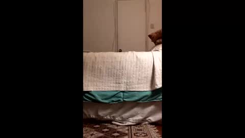 antonino85 online show from March 19, 11:09 pm