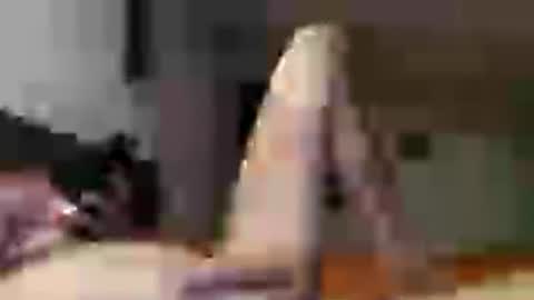 antonio8220cm online show from June 19, 6:08 am