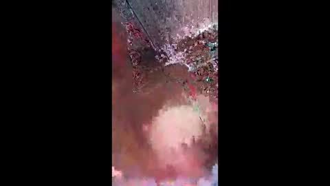 antonleximar8 online show from April 9, 2:45 pm