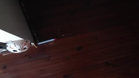 lucy online show from May 2, 1:22 am