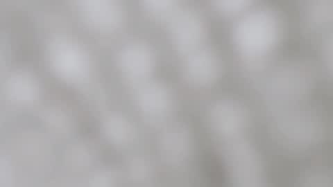 Snapshot of aprilmom chatting on December 11, 11:54 pm April online show from December 11, 11:54 pm