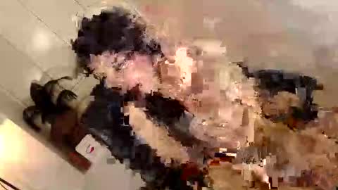 ARABELLA online show from June 2, 2:35 am