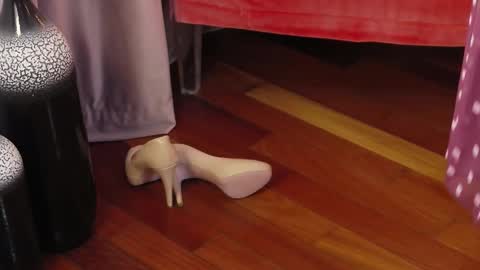 Aryana online show from December 16, 6:42 am